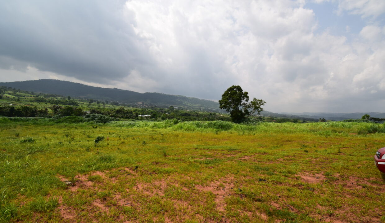 Trevlyngh-Aburi-lands-scaled